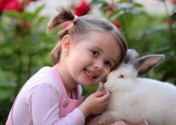 آهیمسا یا عدم خشونت چیست؟ قسمت دوم