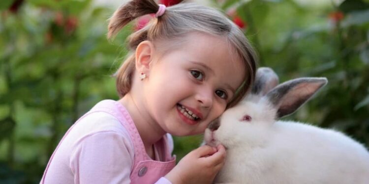 آهیمسا یا عدم خشونت چیست؟ قسمت دوم