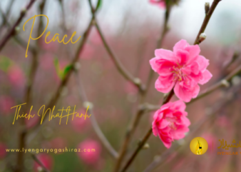 راهکار‌های ساده ذهن آگاهی