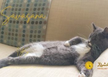 آسانای منتخب ماه اسفند – شاواسانا