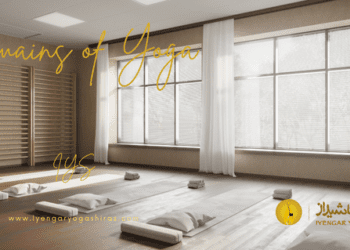 دامنه‌های مختلف یوگا